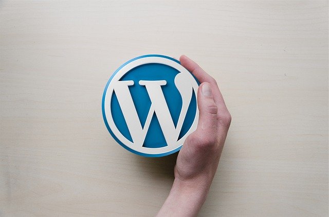 WordPress logo dlaň.jpg